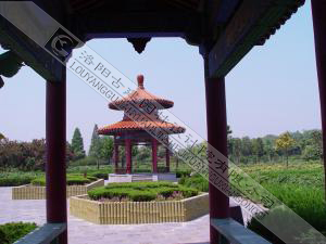 中國國花園